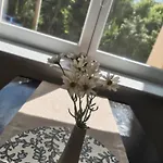 Lejlighed Ferienapartment Am Dorfteich